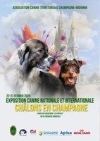 SPECIALE DE RACES - CHALONS EN CHAMPAGNE - 22 février 2025