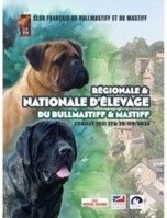 REGIONALE D'ELEVAGE ET NATIONALE D'ELEVAGE 2025 - CERILLY