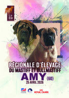 Régionale d'élevage du Bullmastiff et du Mastiff 2026 