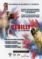 Bullmastiff World cup Union 2026 /RE Mastiff/NE Bullmastiff & Mastiff