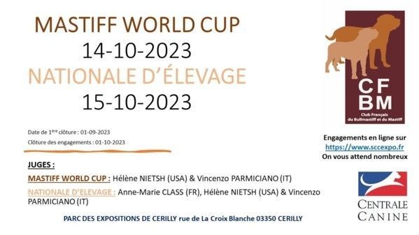 WORLD CUP MASTIFF et NE 2023