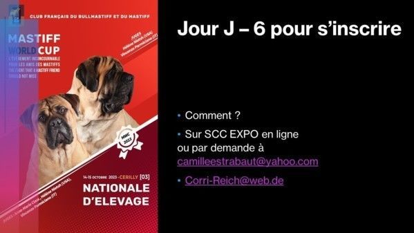 Dépêchez vous!!!