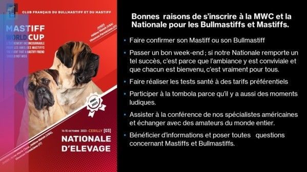 Pourquoi s'inscrire à une NE?