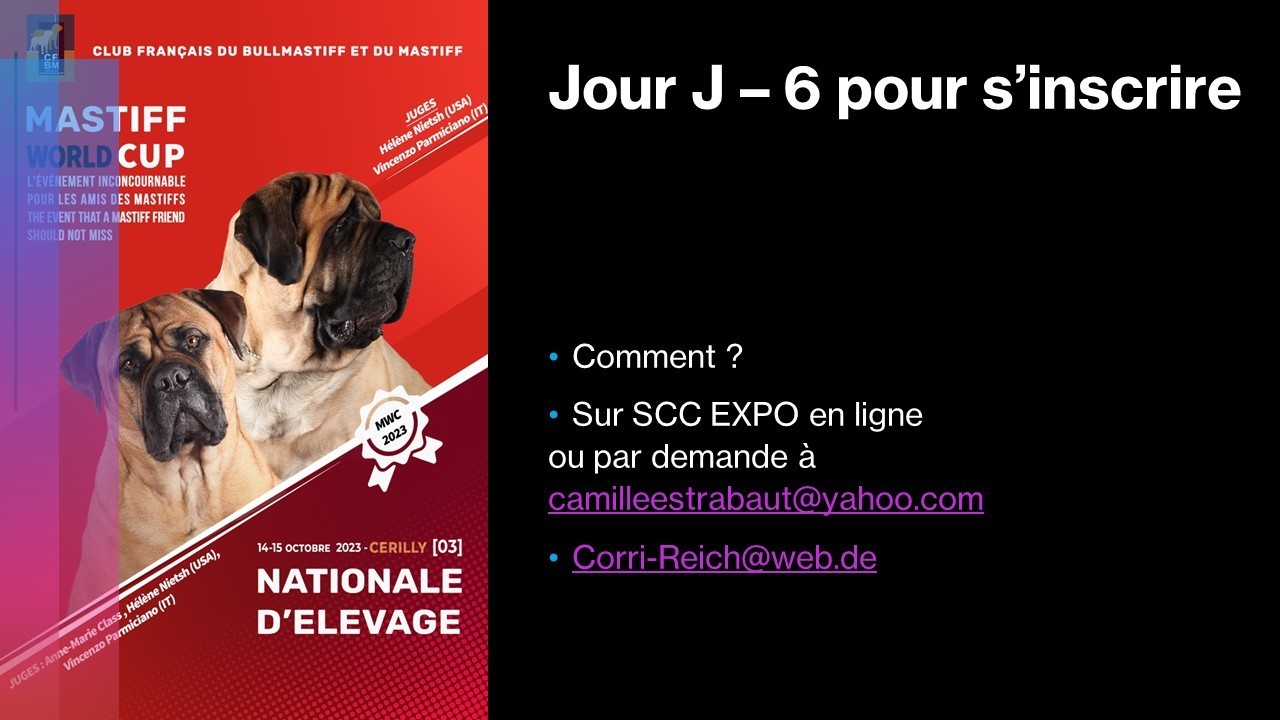 Dépêchez vous!!!