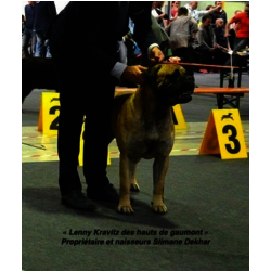 LENNY KRAVITZ DES HAUTS DE GAUMONT - 