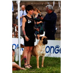 MULTI JR.CH. I BRAVI RAGAZZI NOTHING ELSE -   