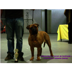 BABOUCHKA DU TERROIR DE FRONTFROIDE - 