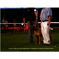 DIANE KRUGER DES HAUTS DE GAUMONT - 