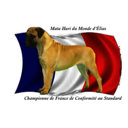 MATA HARI DU MONDE D'ÉLIAS -   
