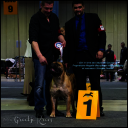 GIRL IN LOVE DES HAUTS DE GAUMONT - 